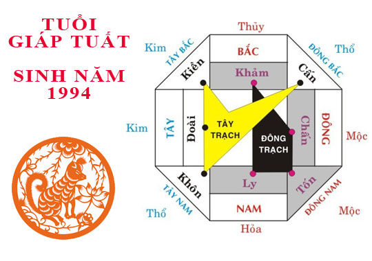 Sinh 1994 Hợp Hướng Nào? Khám Phá Các Hướng Tốt Cho Sự Nghiệp và Tình Duyên